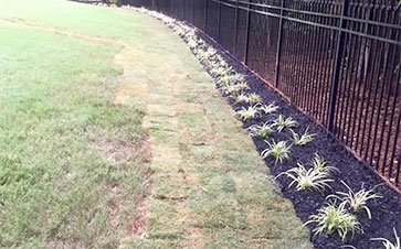 Sod Repair